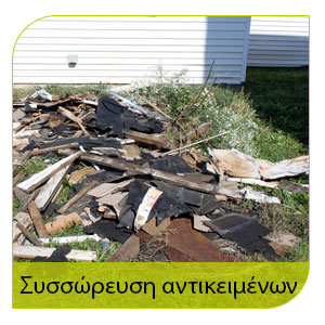 προσέχετε την εμφάνιση ψύλλων στα συσσωρευμένα αντικείμενα